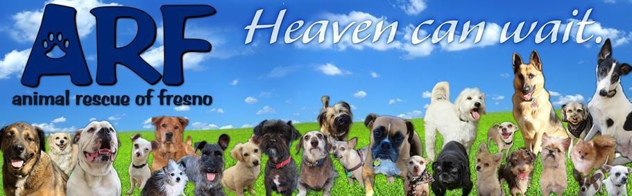 Animal Rescue of Fresno