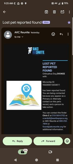 A lost pet report for a Chihuahua dog named DOOKEE, with a map and a paw print icon.