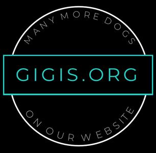 Gigi's