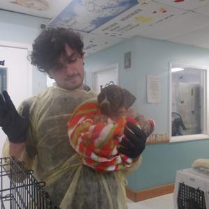 A young man wearing a yellow medical gown and black gloves holds a small puppy wrapped in a striped, multicolored blanket.