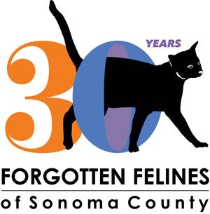 Forgotten Felines of Sonoma County
