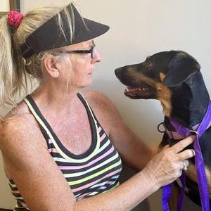 A woman with blonde hair tied in a ponytail and wearing a black visor is holding a black and brown dog on a purple leash. The woman is wearing a striped tank top and glasses, and she is looking at the dog with a smile. The dog is also looking at the woman with its mouth open, showing its teeth.