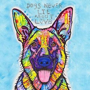 Effingham County Animal Shelter
