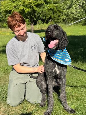 Roman Candle, Mixed Breed, adult, available for adoption