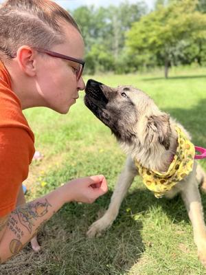 Penny, Mixed Breed, young, available for adoption