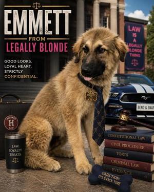 Emmett, Anatolian Shepherd Mix, puppy, available for adoption