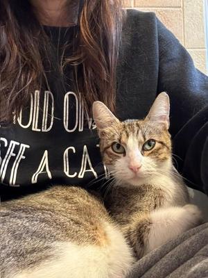 Lune, young, available for adoption