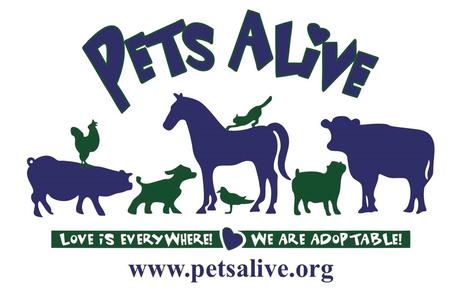 Pets Alive