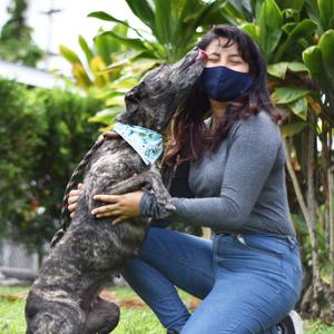Hawaii Island Humane Society