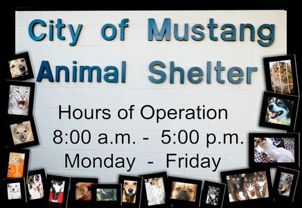 Mustang Animal Welfare Center