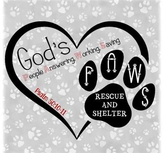 God's PAWS Rescue and Shelter