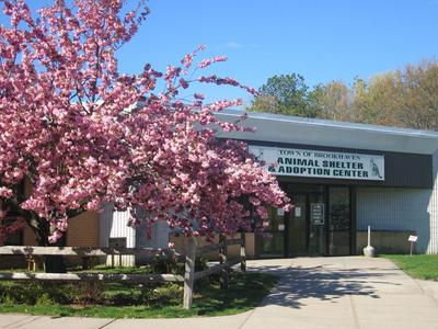 Brookhaven Animal Shelter