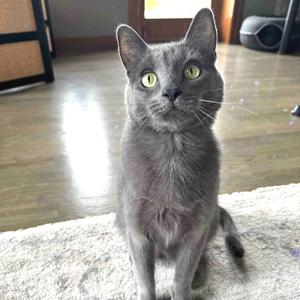 *Boy, adult, available for adoption