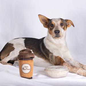 A dog with a black, white, and brown coat is lying on a white surface. Next to the dog is a small, cylindrical object resembling a coffee cup with a lid and a label that says "The Pup." There is also a round, flat object that looks like a cookie or a treat in front of the dog.