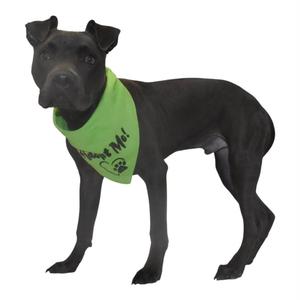 A black dog wearing a green bandana with text on it.