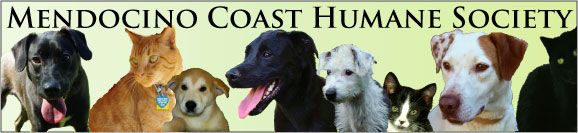 Mendocino Coast Humane Society
