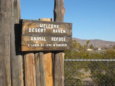 Desert Haven Animal Rescue