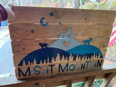 Misfit Mountain