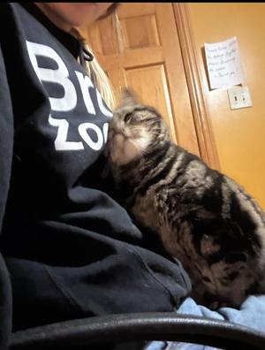 Zoey, senior, available for adoption