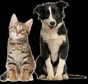 The Humane Society
