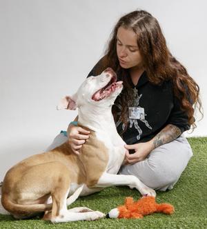 Jefferson Protection & Animal Welfare Services (JPAWS)