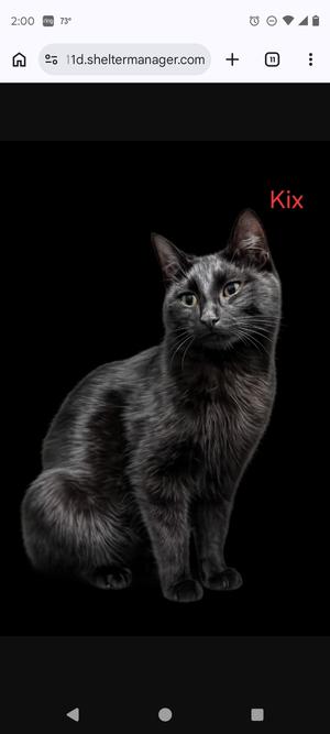 Kix