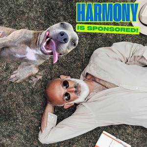 Harmony Blue, Terrier, Pit Bull, adult, available for adoption