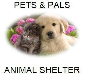 Pets and Pals