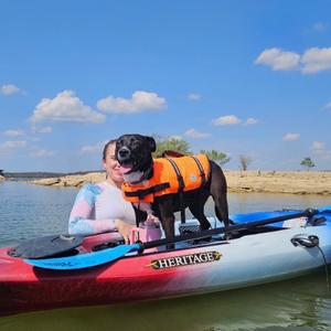 A woman and a dog in a kayak on a lake. The dog is wearing an orange life jacket.