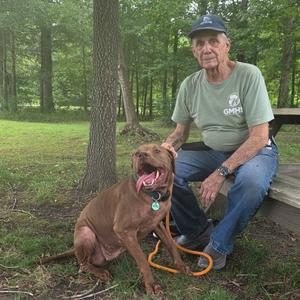 Lola Mae, Mixed Breed (Medium), adult, available for adoption