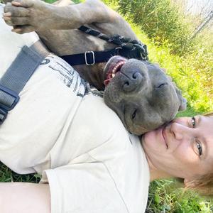 Jocko, Mixed Breed, adult, available for adoption