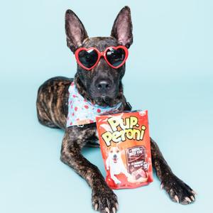 A dog wearing heart-shaped sunglasses and a bandana, holding a bag of Pup Peroni treats.