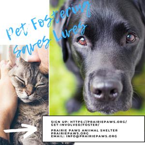Prairie Paws Animal Shelter