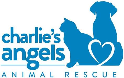 Charlie's Angels Animal Rescue