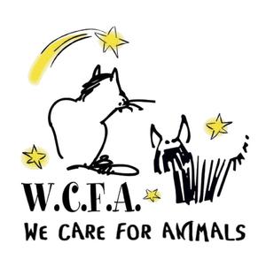 We Care for Animals