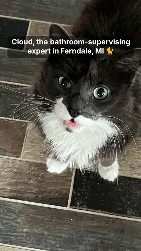 Cloud (was Gray)