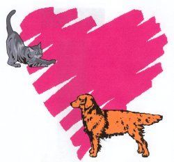 Huntington County Humane Shelter