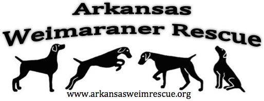 Arkansas Weimaraner Rescue