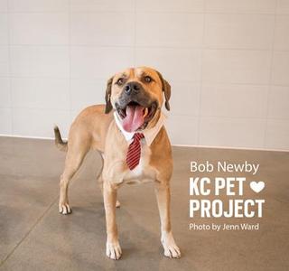 A brown dog wearing a red tie and a white collar, standing on a concrete floor with a white tiled wall in the background. The text on the image reads "Bob Newby KC PET PROJECT Photo by Jenn Ward".