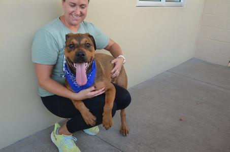 A woman is crouching down and holding a dog in her arms. The dog is wearing a blue bandana and has its tongue out. The woman is smiling and looking at the camera. They are standing on a concrete surface next to a beige wall.