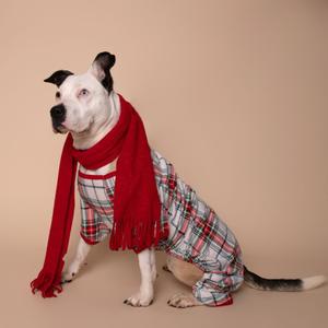 A dog wearing pajamas and a scarf