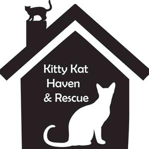 Kitty Kat Haven and Rescue