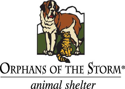 Orphans of the Storm Animal Shelter
