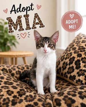 Mia, young, available for adoption