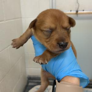 B2, available for adoption