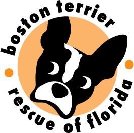 Boston Terrier Rescue of Florida, Inc.